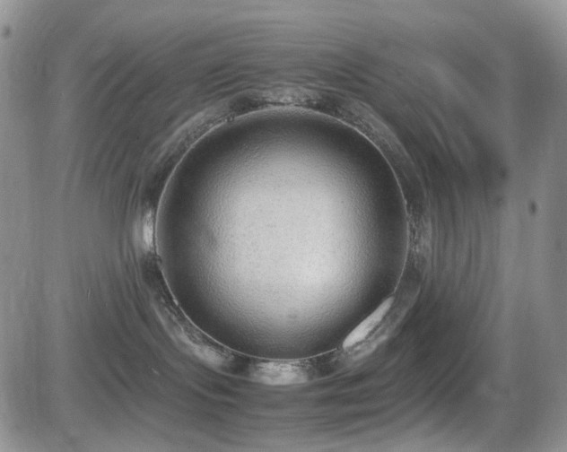 X0000081630095200701151436