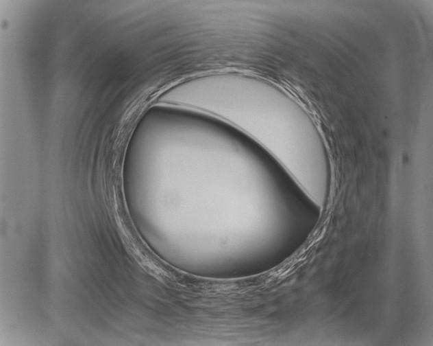 X0000081630097200701151435