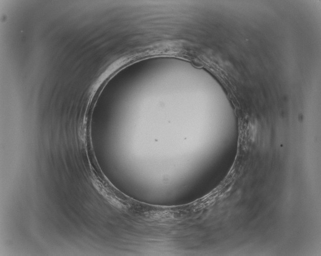 X0000081630100200701151435