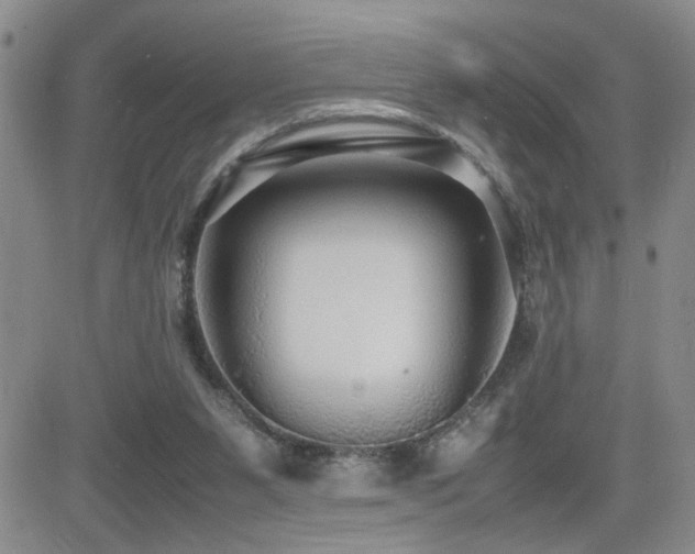 X0000081630111200701151435