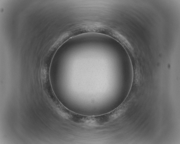 X0000081630113200701151435