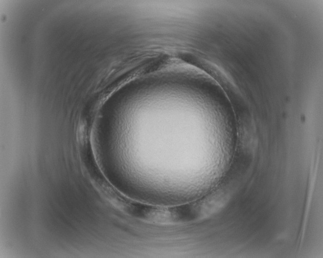 X0000081630123200701151435