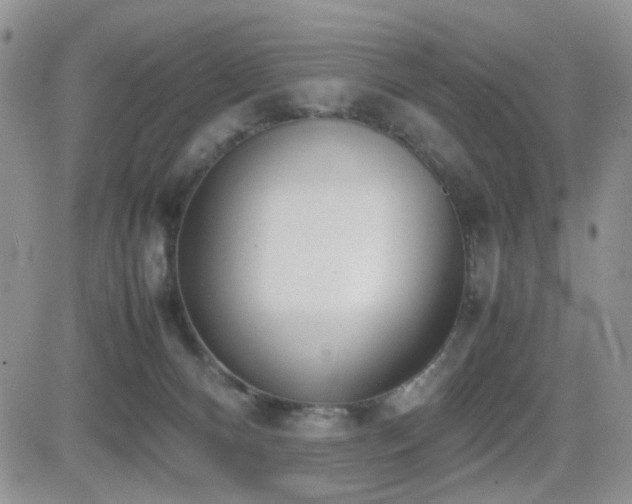 X0000081630128200701151435
