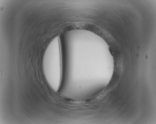 X0000081630129200701151435