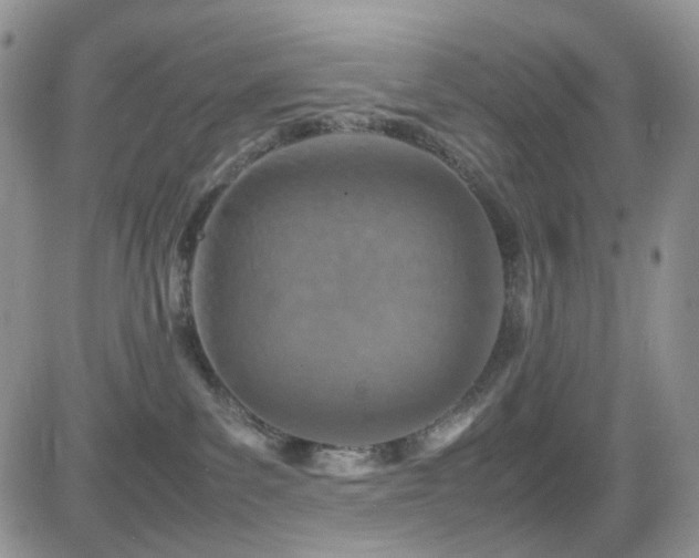 X0000081630139200701151434