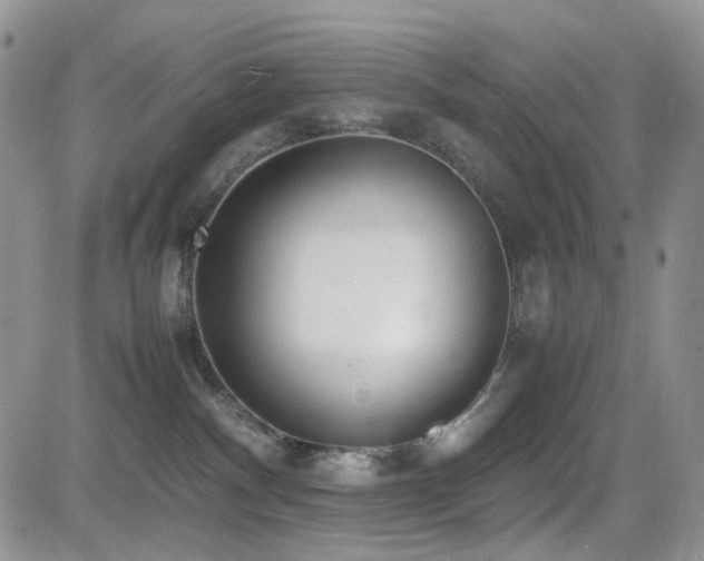 X0000081630140200701151434