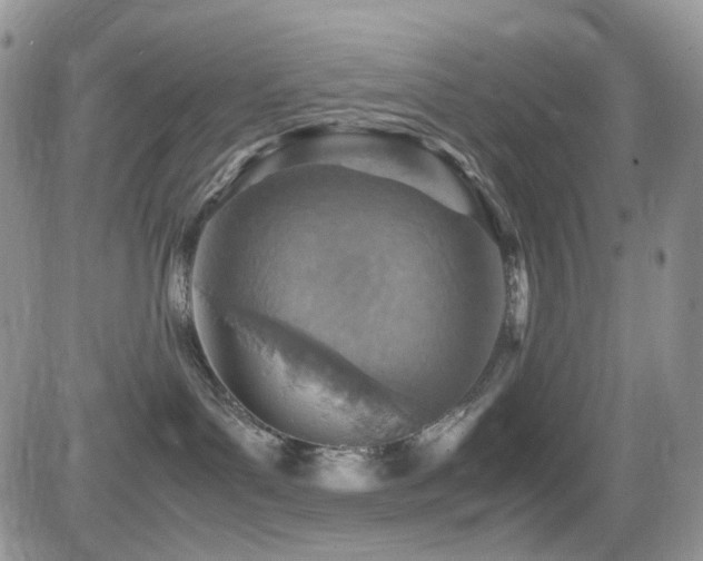 X0000081630143200701151434