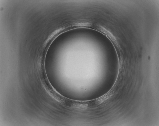 X0000081630155200701151434