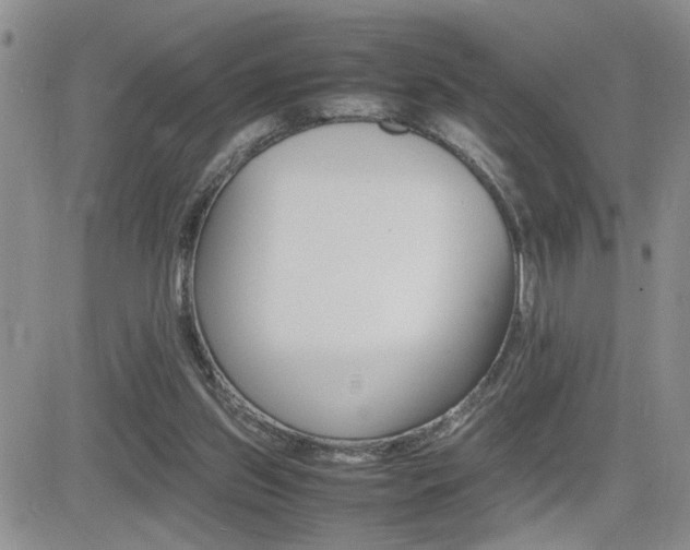 X0000081630157200701151434