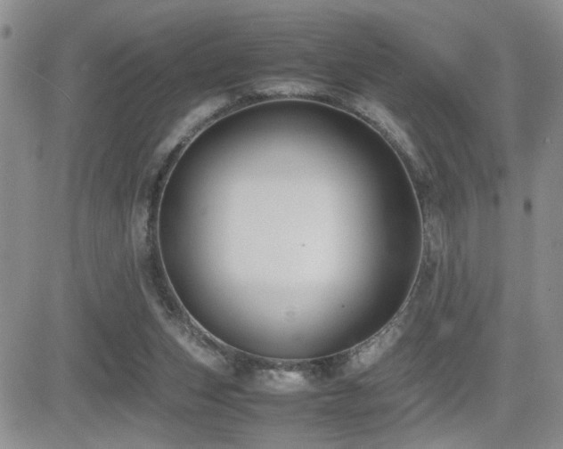 X0000081630159200701151434