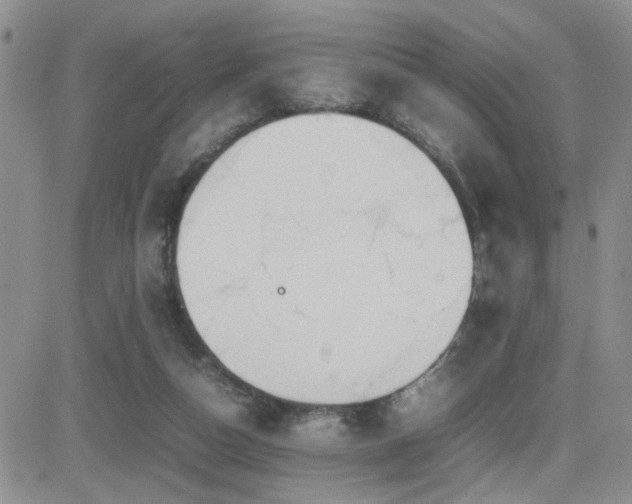 X0000081630162200701151434