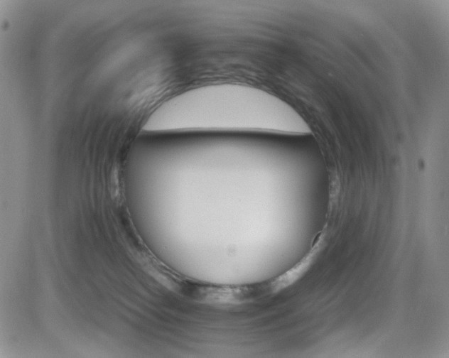 X0000081630182200701151434