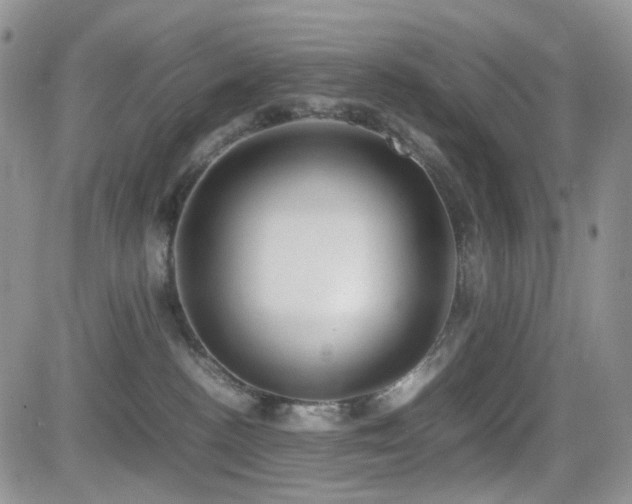 X0000081630188200701151434
