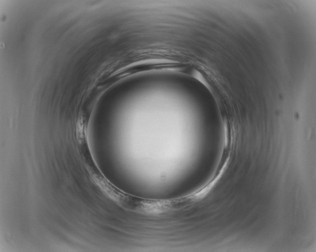 X0000081630190200701151434