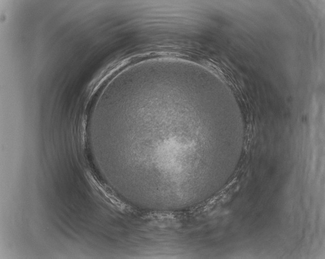 X0000081630194200701151433
