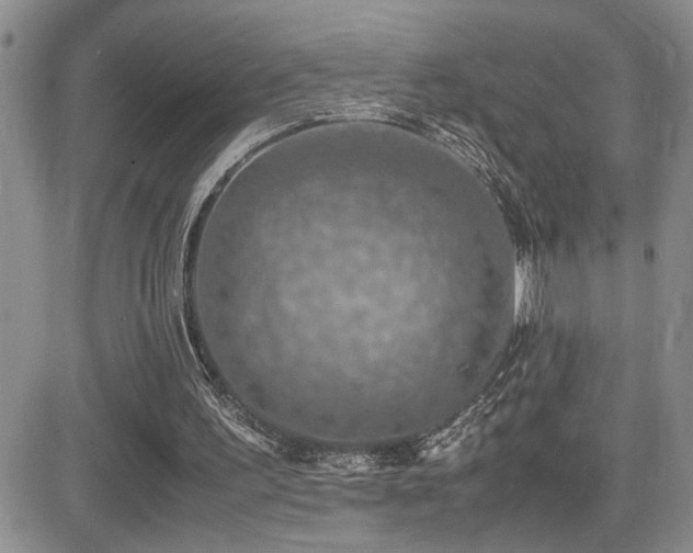 X0000081630195200701151433