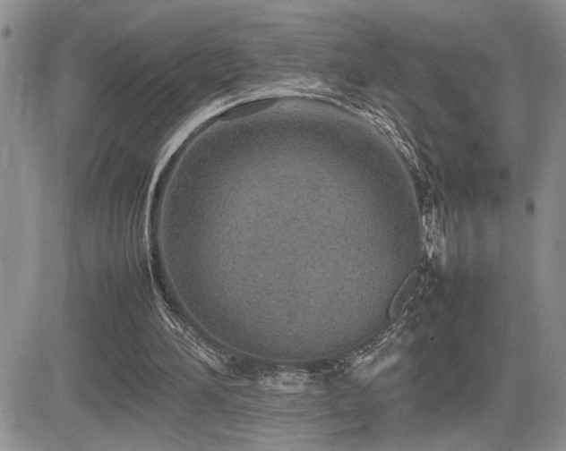 X0000081630196200701151433