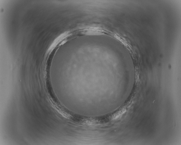 X0000081630199200701151433