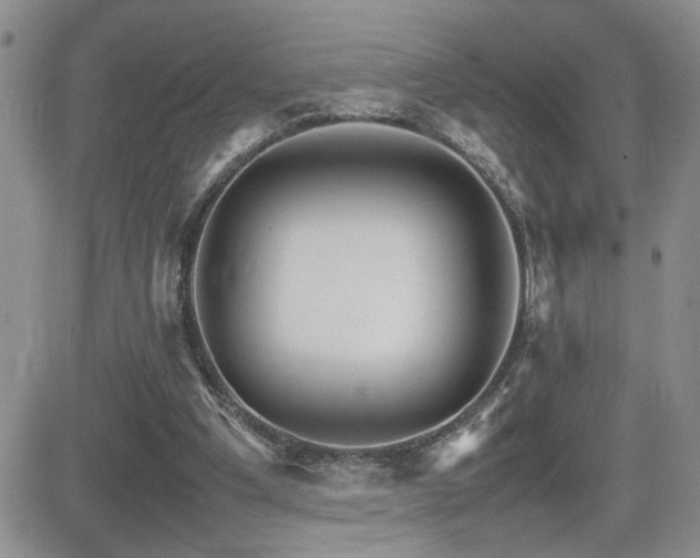 X0000081630201200701151433