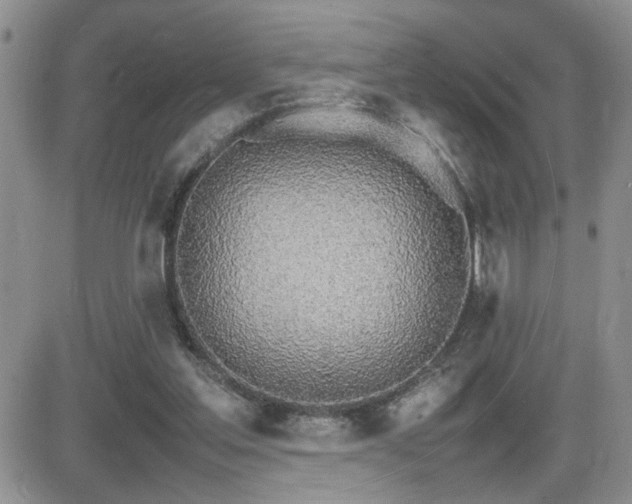 X0000081630205200701151433