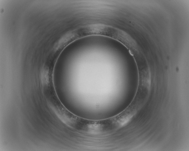 X0000081630216200701151433