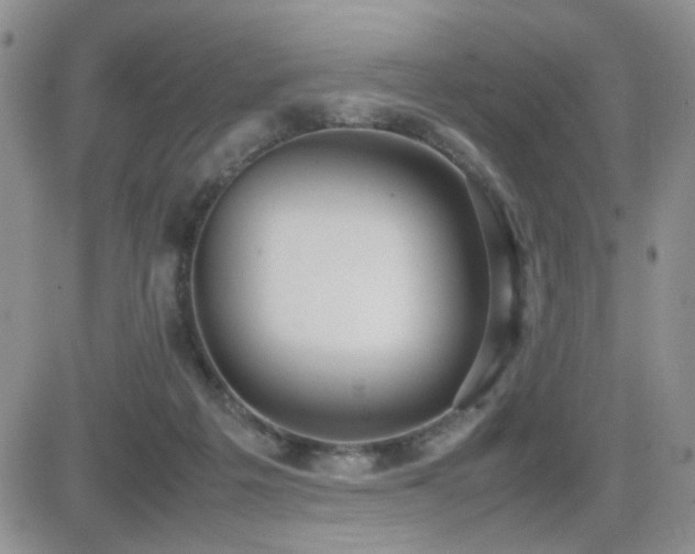 X0000081630217200701151433