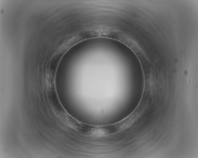 X0000081630218200701151433