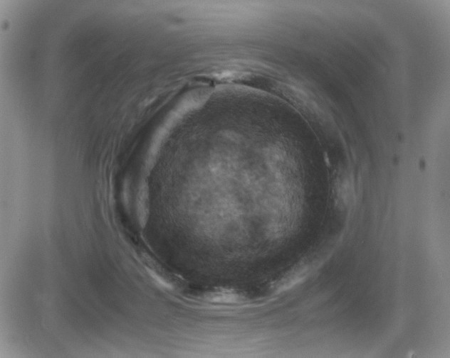 X0000081630219200701151433