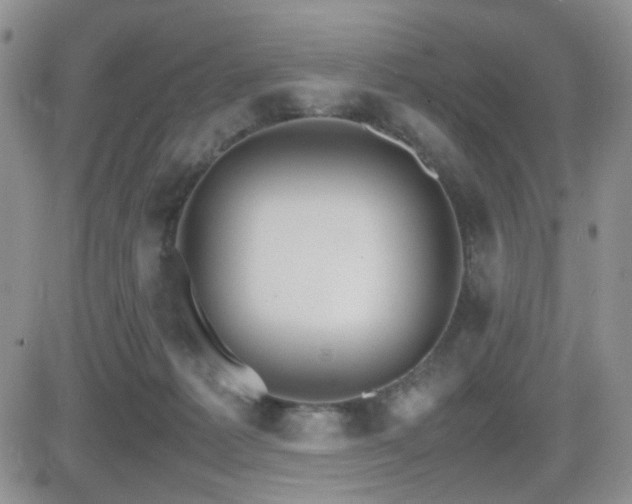 X0000081630221200701151433