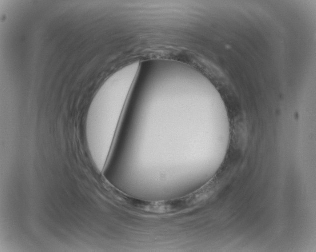 X0000081630225200701151433