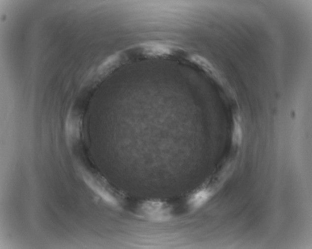 X0000081630227200701151433