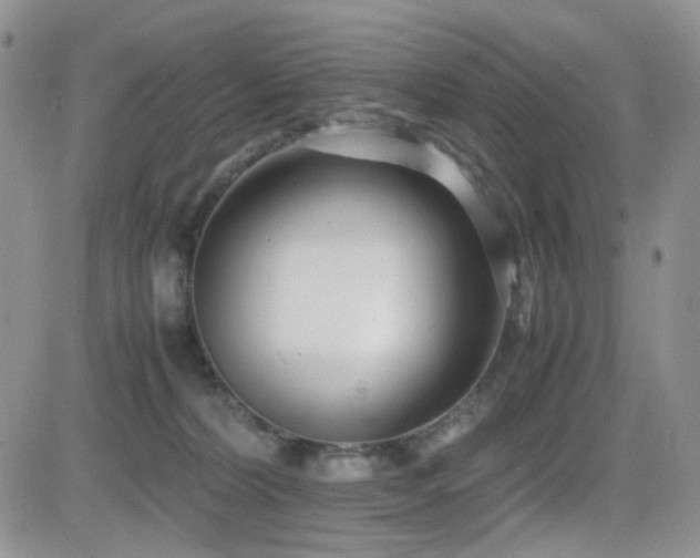X0000081630228200701151433