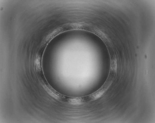 X0000081630238200701151433