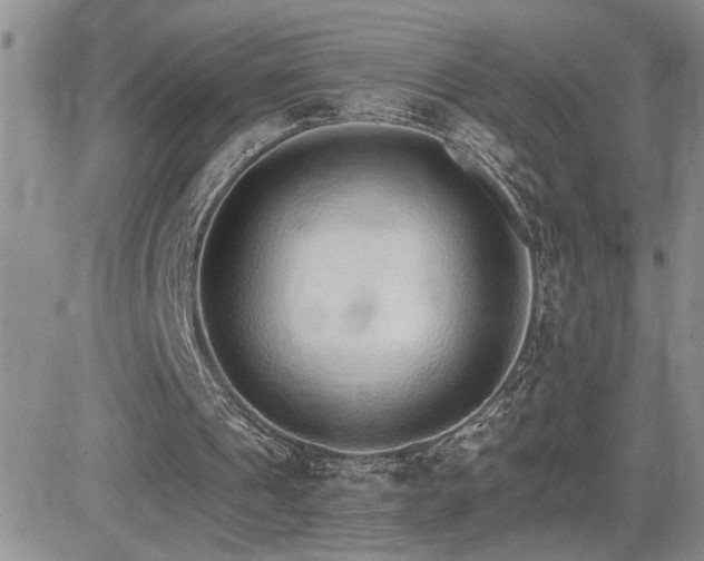X0000081630241200701151432