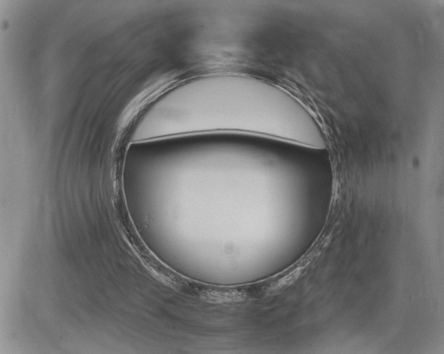 X0000081630245200701151432