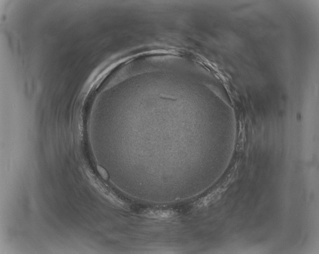X0000081630247200701151432