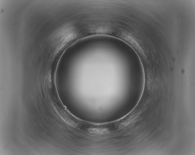 X0000081630251200701151432
