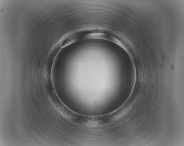 X0000081630256200701151432