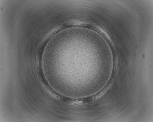 X0000081630257200701151432