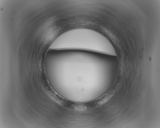 X0000081630258200701151432