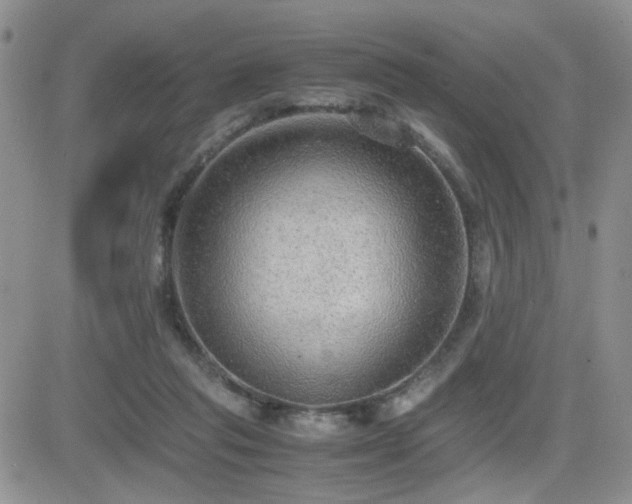 X0000081630261200701151432
