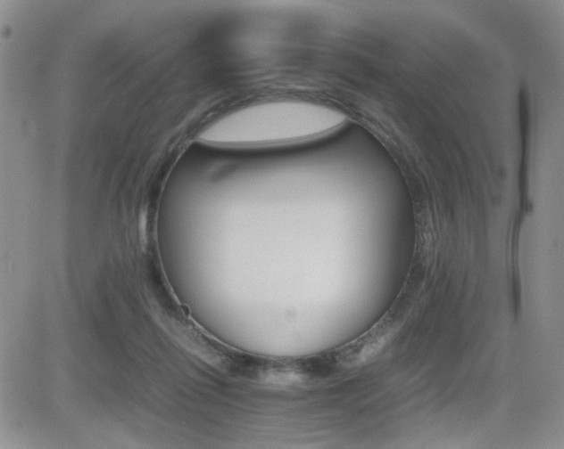 X0000081630262200701151432