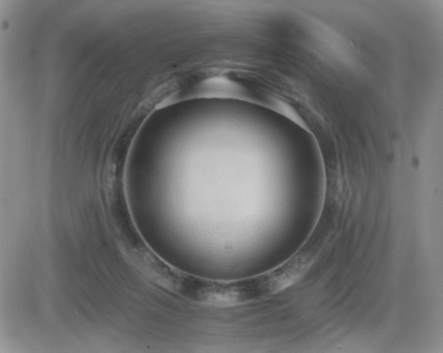 X0000081630263200701151432
