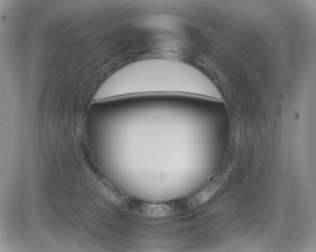 X0000081630277200701151433