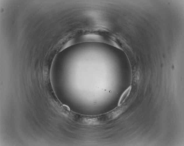 X0000081630283200701151433