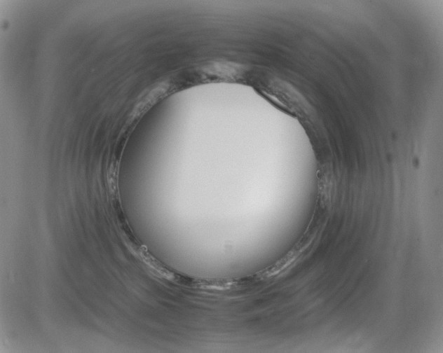 X0000081630285200701151433