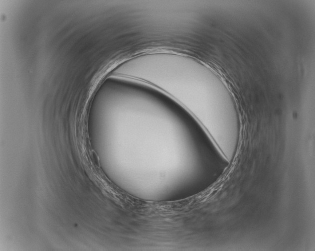 X0000081630289200701151432