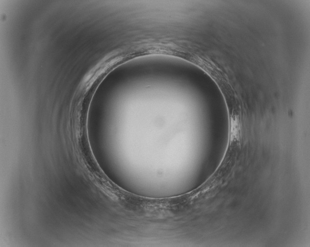 X0000081630291200701151432