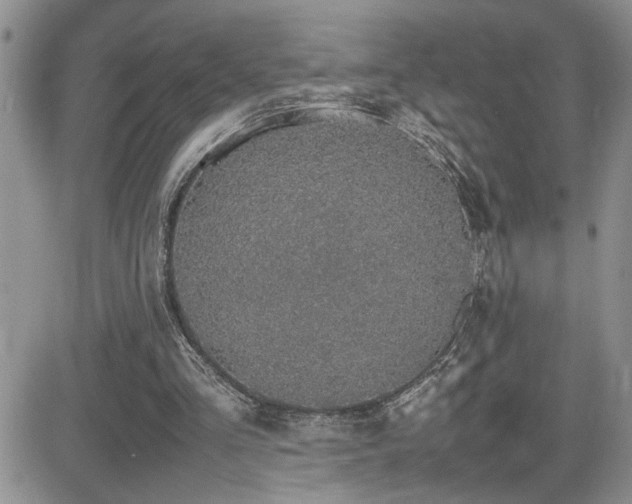 X0000081630293200701151432