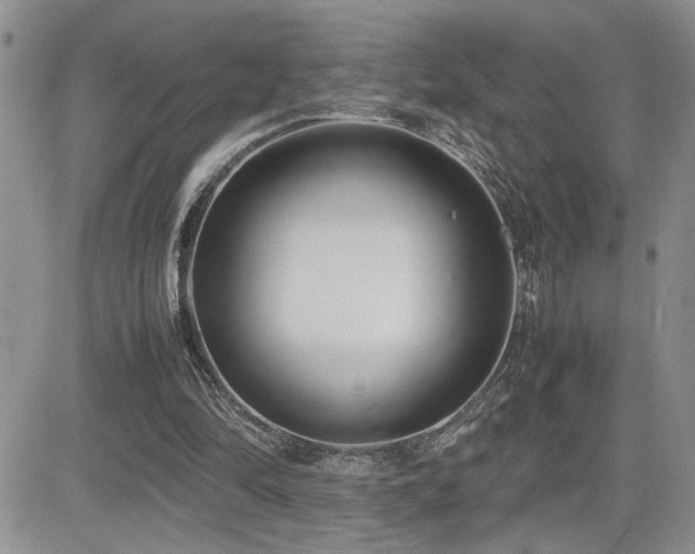 X0000081630294200701151432